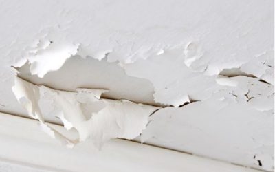 Common Roofing Problems and How to Fix Them