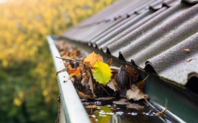 Preparing Your Roof For Autumn Rain